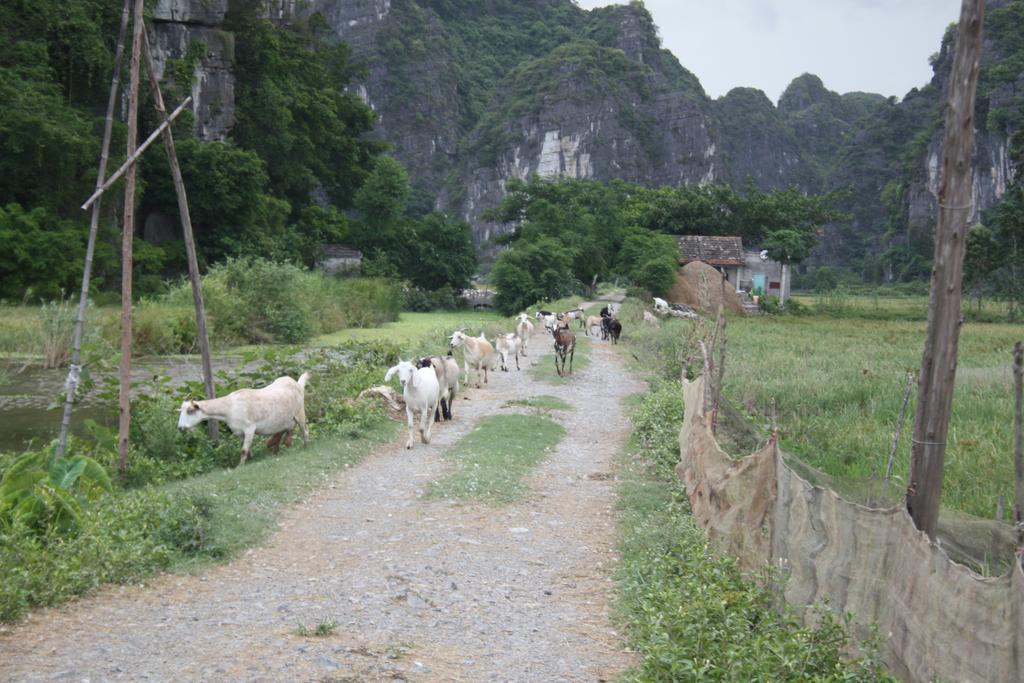 Ninh Binh Valley Homestay Экстерьер фото